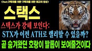 스택스 스택스코인 스택스코인전망 STX BTC 코인전망 비트코인 이더리움 도지코인