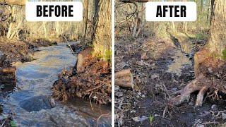 UNCLOGGING Huge Dam and Drainage Ditch - You Won't BELIEVE What It Looks Like Now