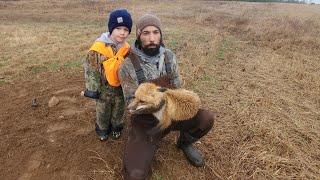 Close Call During Hand Release of a Red Fox - Checking Traps #lazypondfarm Fish & Hunt