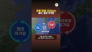 하루 만에 250mm...제주, 장마 직격탄