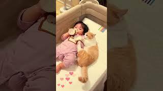 Cat  care baby@Baby Gadgets,, #shorts#short