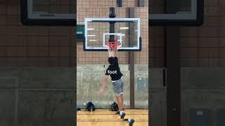 Jumpman Jimmy height checks on 10 foot rim  #shorts #basketball