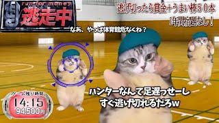 逃走中をすることになった猫たちの日常【猫ミーム】【猫マニ】