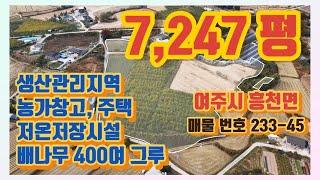 여주시 흥천면 생산관리지역 배나무 과수원 시설채소 하우스용 7,247평 주택 창고 저온저장고 농로길 두 면 접한  여주 부동산 토지 매매 [ 233-45 ] 여주 한강부동산 tv