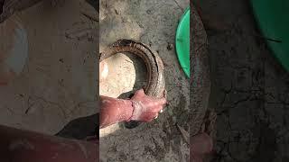 #sortvideo ###
