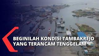 Pesisir Kota Semarang Terancam Tenggelam, Air Laut Membuat Akses Jalan 1.700 Jiwa Terputus!