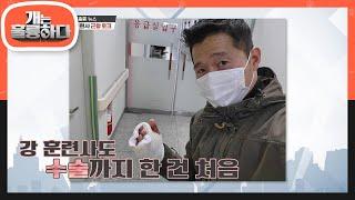 강형욱 훈련사 개물림 사고 후 근황! [개는 훌륭하다/Dogs Are Incredible] | KBS 220124 방송