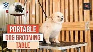 Portable Competition Grooming Table #petgrooming