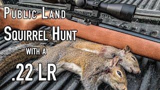 Squirrel Hunting with a .22 | Public Land Small Game Hunt | 2021-22 Hunting Season