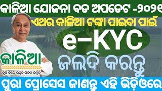 Kalia Yojana Online E-Kyc | How to do online e-kyc for Kalia Yojana Odisha | E Kyc for Kalia Yojana