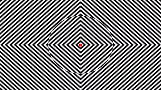 THIS OPTICAL ILLUSION MAKES YOU FEEL HIGH?!