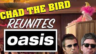 Chad the Bird Reunites Oasis [FULL] 08/31/24