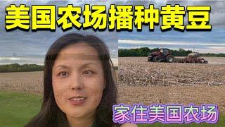 103 中国媳妇家住美国农场 实拍美国农场播种黄豆 聊聊在美国买农场租农场的那些事