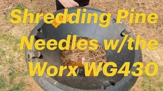 Shredding Pine Needles with the Worx WG430