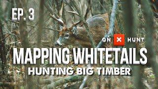 HOW TO HUNT BIG WOODS BUCKS! - Mapping Whitetails