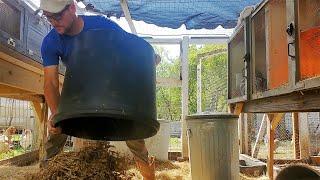 Yes! The Chicken Run won't Stink, Plus GREAT COMPOST