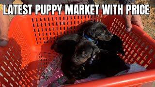 Puppy market in India at cheapest rates| Wholesale Dog market outside Ludhiana Dog show 2024