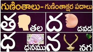 Guninthalu Guninthakshara Padalu |త ద ధ న గుణింత పదాలు|Tha Dha Ddha Na Gunintha Padalu |Telugu Vanam