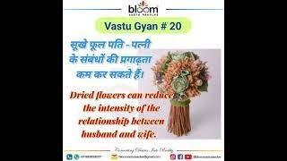 Vastu Gyan 20 - Dry flowers effects in Vastu.