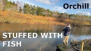 A Fish Every Cast! [Fly Fishing Scotland - Orchil Trout Fishery]