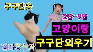 구구단송 2단~9단 l 고양이랑 구구단 외우기 l 학교에서 배운 리듬으로 재미있게 외우자