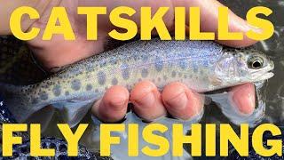 Fly Fishing Dries and Nymphs for Fall Trout - Catskill Mountains