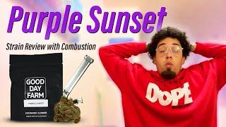 Purple Sunset | Louisiana Medical Marijuana Review | Combustion