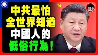 【中國真相?】這是爲什麽中國人不受歡迎！超沒禮貌！ 習近平 一国两制 財商思維 个人成长 民主黨 兩岸 习近平 自我提升 反送中 中共 九二共识 財富自由 反共 台独 法輪功 中華民國 六四 台湾海峡