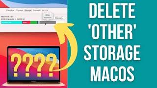 How To Delete macOS 'Other' Storage Free Up Space [Easy Method] GrandPerspective Tutorial