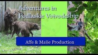 Adventures in Podlaskie Voivodeship | Fascinating Poland