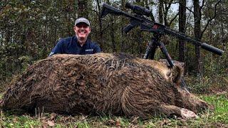 The HEAVIEST sow I’ve ever hunted. Hard working father. (Catch & Cook)