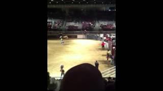 Family Trip to the Royal Winter Fair - Rodeo