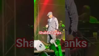 Shabba Ranks Live #shabbaranks #yardmantv #music #dancehallartist