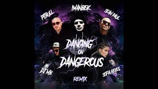 Imanbek x Sean Paul x Sofia Reyes - DANGEROUS (Official music 2021)