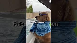Buddy’s hot tub party  #dogvoiceover #fyp #goldenretriever #shorts #milkshake #voiceover #funnydog