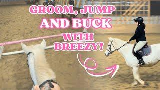 COME TO MY HORSE RIDING LESSON | Groom, Jump and BUCK with Breezy! + GIVEAWAY