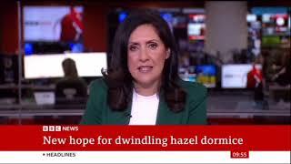 BBC News presenter Maryam Moshiri says "I'm Ron Burgundy"