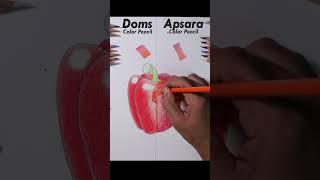 Perfect Color Pencil for Beginners #shorts #sketchbookbyabhishek #bestdrawingtools #viral #shading