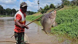 Extraordinary fish archery skills || Skill memanah ikan yang luar biasa. Part=2