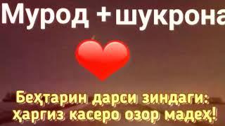 Любовь