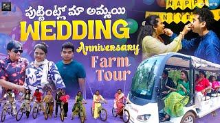 పుట్టింట్లో మా అమ్మాయి Wedding Anniversary - Farm Tour || Zubeda Ali || Zubeda Ali Vlogs || Strikers