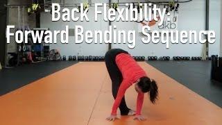 Forward Bending Sequence for Spinal Flexibility