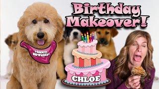 CHLOE'S BIRTHDAY MAKEOVER!!! MommyTube Eats DOG FOOD! NEW HOUSE!