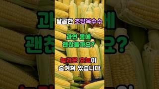 초당옥수수의 놀라운 효능 #건강정보 #건강상식 #건강