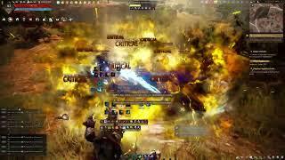 BDO | Awakening Tamer - Tungrad Ruins after nerf 36.7k trash/h (yellow ls)