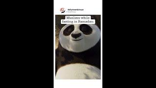 Kung Fu Panda  Muslim Panda ️ #funnyshorts