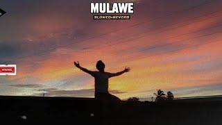 Mulawe {𝙎𝙡𝙤𝙬𝙚𝙙×𝙍𝙚𝙫𝙚𝙧𝙗}