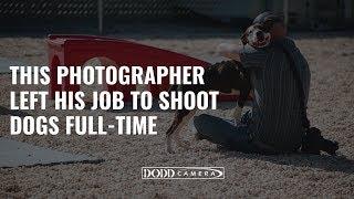 He Left His Job to Photograph Pitbulls