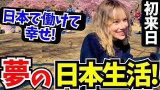 「念願の日本に来れた！ここで働けて本当に幸せ!」夢の日本生活に感動する外国人に日本の印象や素敵な体験を聞いてみた!!【外国人にインタビュー】【海外の反応】