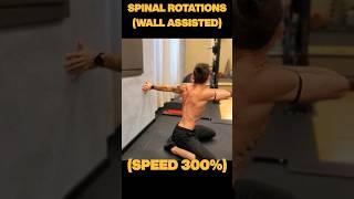 ️ Spinal Mobility P2 Bridges & Rotations #Mobility #spinalmobility #lumbarmobility #backpainrelief